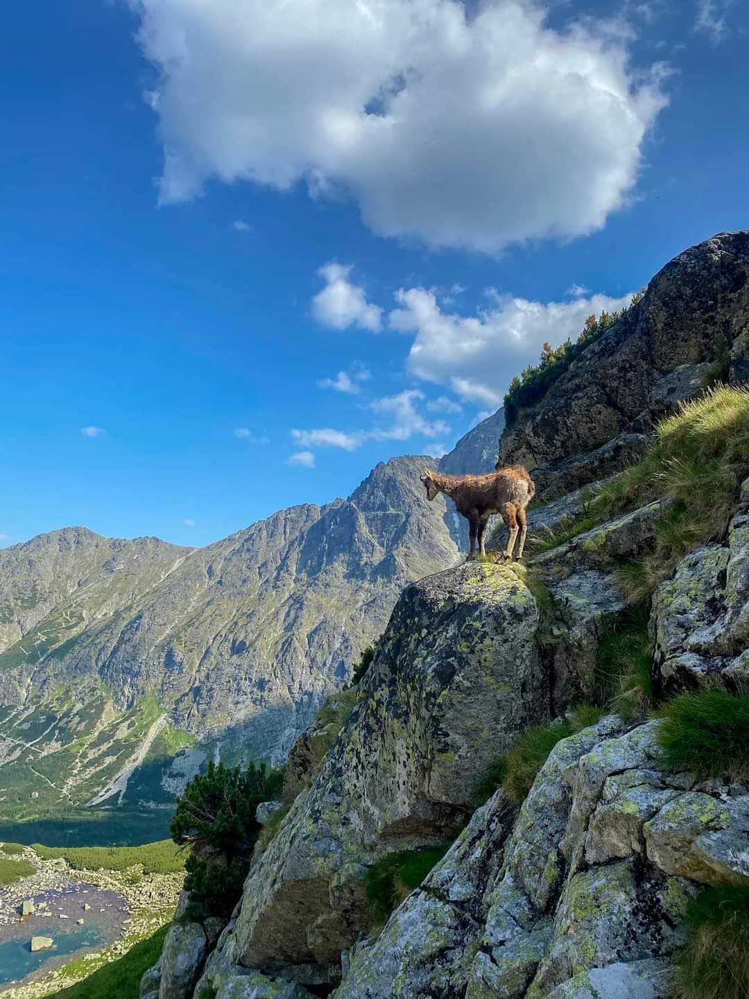 Príroda okolo penzionu